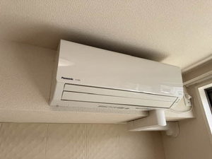 イル クオーレ 0101号-10