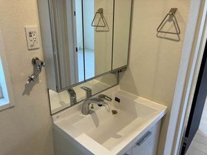 メゾン　デ　プルニエ 0201号-6