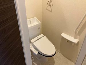 メゾン　デ　プルニエ 0201号-8