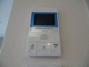 シャーメゾン　トールフェスキュー 0105号-11