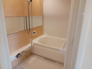 リッシュレジデンス１番館 0202号-3