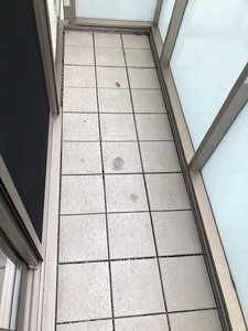 グレイス新町 0201号-11