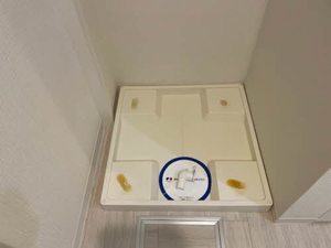 レフィシアコート難波 0201号-12