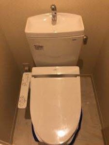 シャーメゾン東上野芝 0202号-6