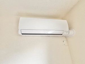 シャーメゾンライグラス 0102号-11