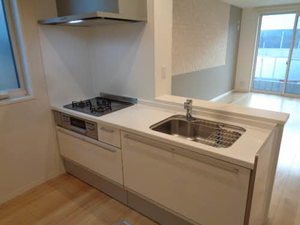 パロアルトⅡ 0103号-10