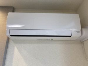 ジャルダン・リス 0102号-11
