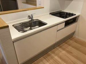 Ｂｒｅｓｃｉａ 0102号-3