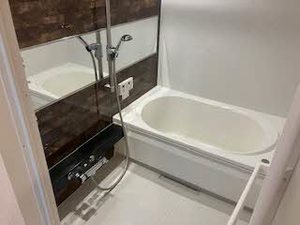 Ｂｒｅｓｃｉａ 0102号-4