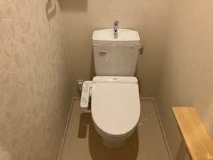 Ｂｒｅｓｃｉａ 0102号-5