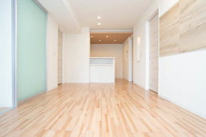 ｖｉｎｃｕｌｕｍ　ＡＫ 0103号-3