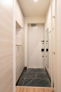 ｖｉｎｃｕｌｕｍ　ＡＫ 0103号-4