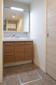 ｖｉｎｃｕｌｕｍ　ＡＫ 0103号-7