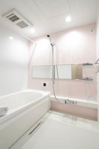 ｖｉｎｃｕｌｕｍ　ＡＫ 0103号-9