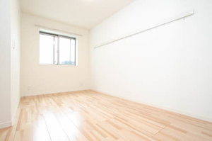 ｖｉｎｃｕｌｕｍ　ＡＫ 0103号-11