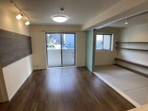 ｖｉｎｃｕｌｕｍ　ＡＫ 0106号-2