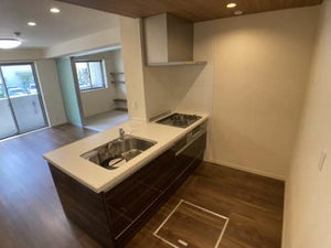 ｖｉｎｃｕｌｕｍ　ＡＫ 0106号-3