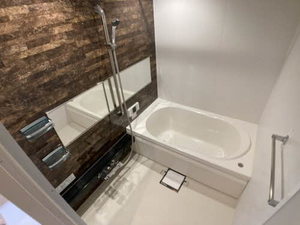 ｖｉｎｃｕｌｕｍ　ＡＫ 0106号-4