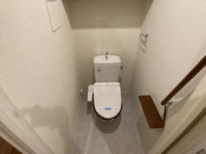 ｖｉｎｃｕｌｕｍ　ＡＫ 0106号-7