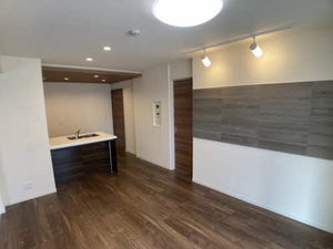 ｖｉｎｃｕｌｕｍ　ＡＫ 0106号-9