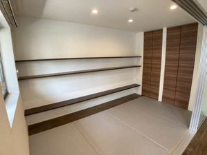 ｖｉｎｃｕｌｕｍ　ＡＫ 0106号-10