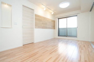 ｖｉｎｃｕｌｕｍ　ＡＫ 0303号-2