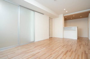 ｖｉｎｃｕｌｕｍ　ＡＫ 0303号-3