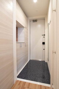 ｖｉｎｃｕｌｕｍ　ＡＫ 0303号-4