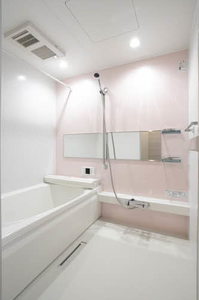 ｖｉｎｃｕｌｕｍ　ＡＫ 0303号-9