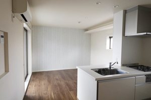 Casetta di gatto 0301号-2