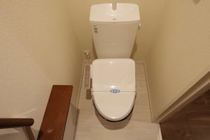 Casetta di gatto 0301号-7