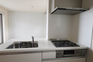 Casetta di gatto 0301号-10