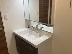 セレッソ 0102号-9