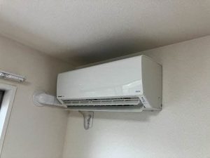 ＢＥＲＥＯ勘聖 0102号-11