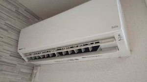 ＳｈａＭａｉｓｏｎ桜 0103号-5