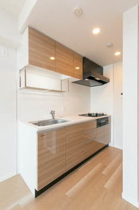 ヴィラ レオーネ 0901号-9