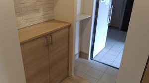 Ｆｉａｂｌｅ　Ｉｚｕｍｉｏｔｓｕ 0101号-3