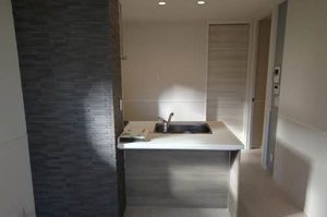 メゾン　ド　シバタ 0101号-2