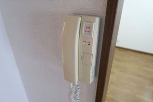 BONHEUR T・K 0203号-10