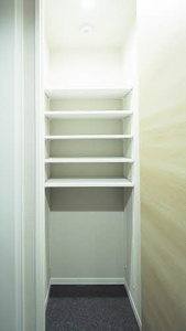 Ｇｒａｎｄ　Ｐｉｅｃｅ　Ｌ・Ｒ 0206号-9