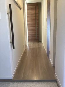 シャーメゾン岩出清水 0203号-3