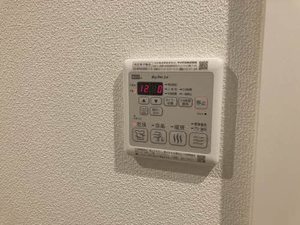 シャーメゾン　カキツバタ 0102号-8