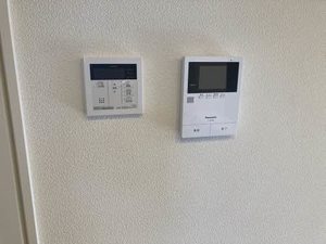 シャーメゾン　カキツバタ 0102号-11