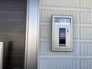 ＳｈａＭａｉｓｏｎ　ＳＯＬＵＴＩＯＮＳ　Ⅷ 0202号-2