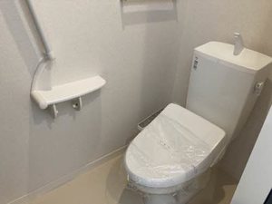 ＳｈａＭａｉｓｏｎ　ＳＯＬＵＴＩＯＮＳ　Ⅷ 0202号-3