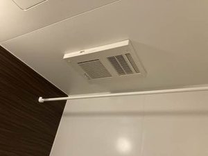 ＳｈａＭａｉｓｏｎ　ＳＯＬＵＴＩＯＮＳ　Ⅷ 0202号-5