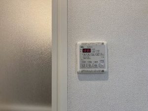 ＳｈａＭａｉｓｏｎ　ＳＯＬＵＴＩＯＮＳ　Ⅷ 0202号-6