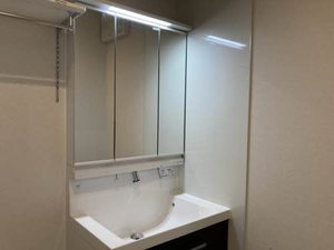 ＳｈａＭａｉｓｏｎ　ＳＯＬＵＴＩＯＮＳ　Ⅷ 0202号-7