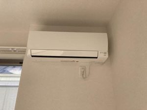 ＳｈａＭａｉｓｏｎ　ＳＯＬＵＴＩＯＮＳ　Ⅷ 0202号-10