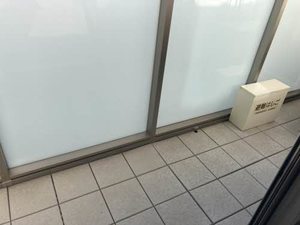 ＳｈａＭａｉｓｏｎ　ＳＯＬＵＴＩＯＮＳ　Ⅷ 0202号-13